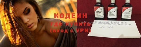 индика Верхний Тагил