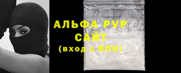индика Верхний Тагил