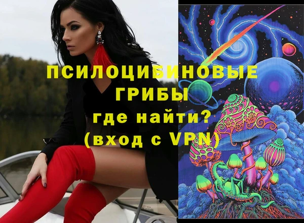 индика Верхний Тагил