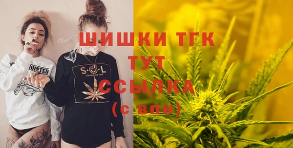 индика Верхний Тагил