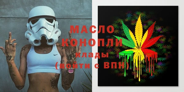 индика Верхний Тагил