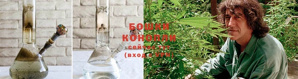 индика Верхний Тагил