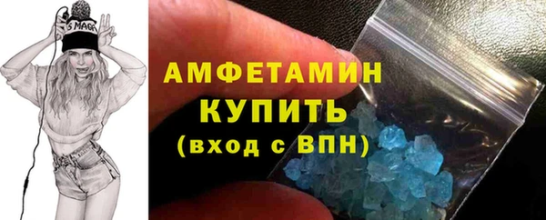индика Верхний Тагил