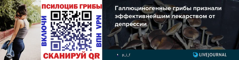 даркнет сайт  Глазов  Галлюциногенные грибы Psilocybe 
